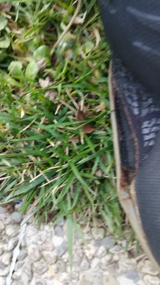 Stivali per surf neoprene