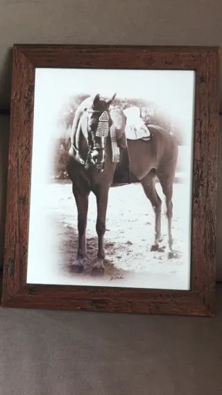 Lámina caballo marco madera