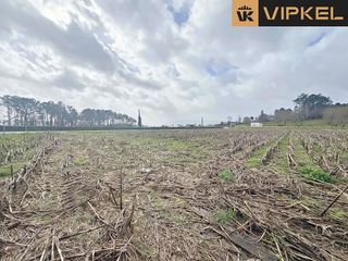 Solar en venta en Teo