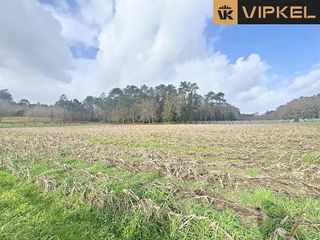 Solar en venta en Teo