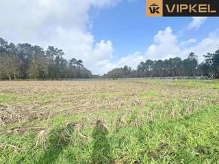 Solar en venta en Teo