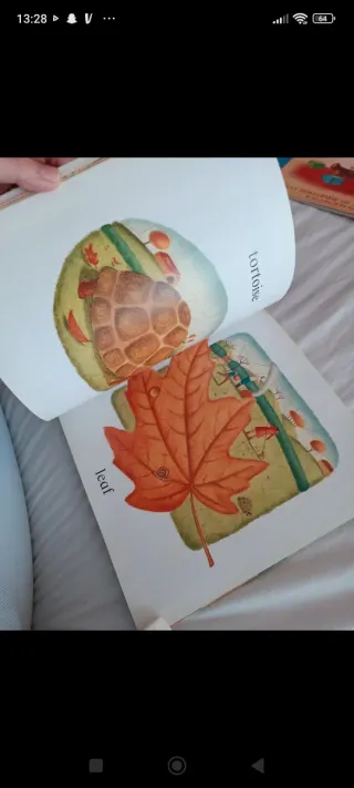 Libro Picture this de Alison Jay