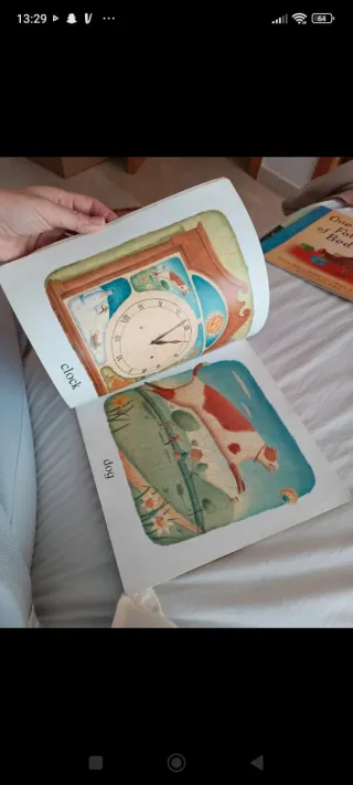 Libro Picture this de Alison Jay