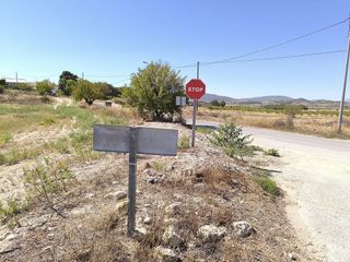 Terreno en venta en Novelda