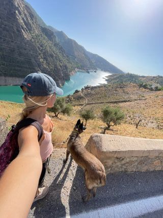 CUIDADORA PROFESIONAL DE MASCOTAS