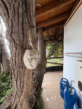 Casa rural en alquiler en Güímar