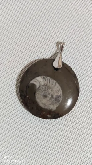 Colgante Fósil Amonite Plata 925.