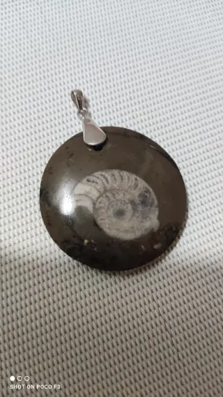 Colgante Fósil Amonite Plata 925.