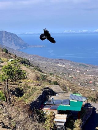 Casa rural en venta en Frontera