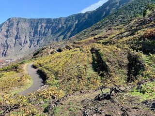 Casa rural en venta en Frontera