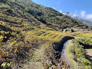 Casa rural en venta en Frontera