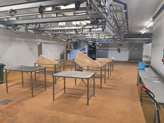 Nave industrial en alquiler en Buenavista en Madrid