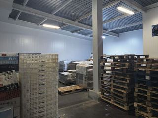 Nave industrial en alquiler en Buenavista en Madrid