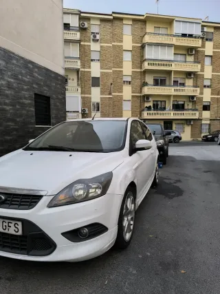 Ford Focus hirvonen