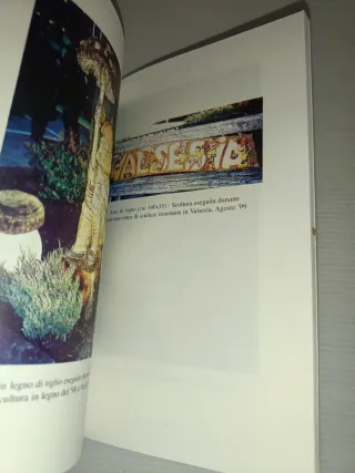 La Valle degli omini G.Nicola