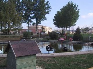 Terreno en venta en Alpicat