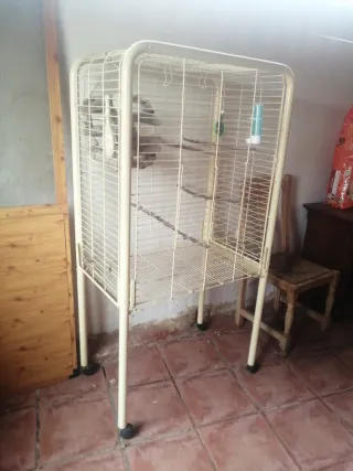 Jaula para ninfas y loros