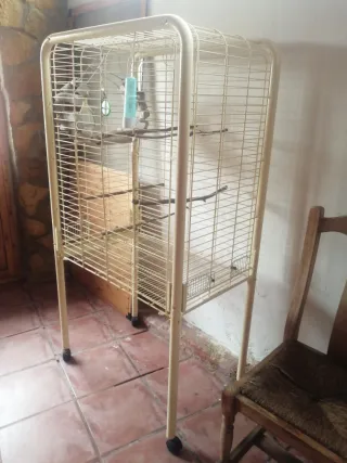 Jaula para ninfas y loros