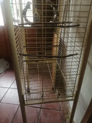 Jaula para ninfas y loros