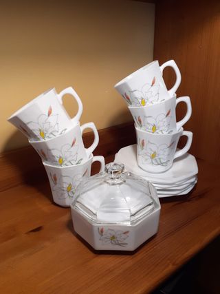 Tazas medianas Arcopal Petunia