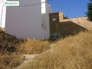 Terreno en venta en Arcos de la Frontera