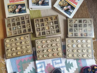 Collezione Minerali e Pietre Preziose