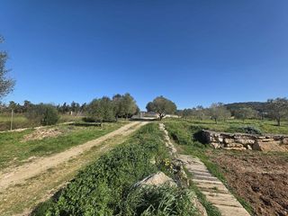 Nave industrial en venta en Manacor Centro en Manacor