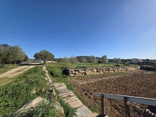 Nave industrial en venta en Manacor Centro en Manacor