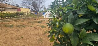 Terreno en venta en Las Lagunas - Campano en Chiclana de la Frontera