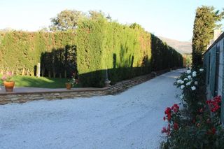 Casa rural en venta en Ronda