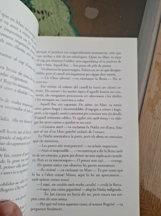 El castell negre del senyor Bogròs (catalán)