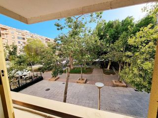 Local comercial en alquiler en Carrús Oest - El Toscar en Elche