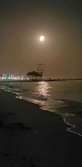 Estudio en alquiler en Ciudad Jardín - Tagarete - El Zapillo en Almería