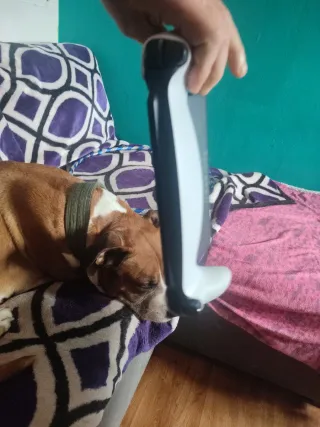 Funda Protectora Negra para PS5