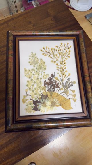 Cuadro Flores Secas Marco Madera