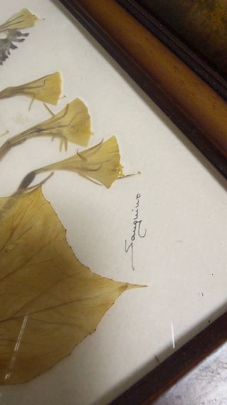 Cuadro Flores Secas Marco Madera