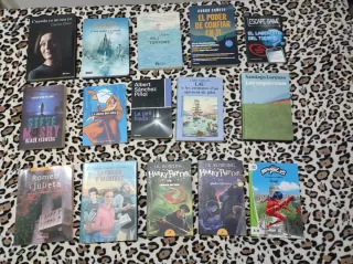 Lote de libros