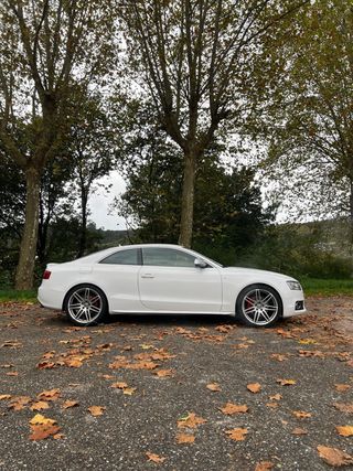 Audi A5 2008