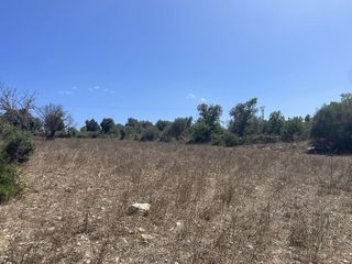 Solar en venta en Son Servera