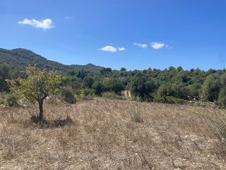 Solar en venta en Son Servera