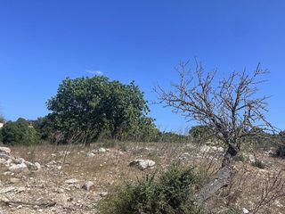 Solar en venta en Son Servera