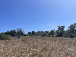 Solar en venta en Son Servera