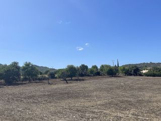 Solar en venta en Son Servera