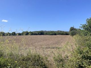 Solar en venta en Son Servera