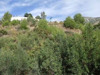 Terreno en venta en Mijas pueblo en Mijas