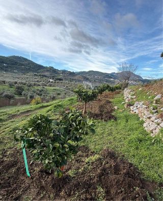 Mantenimientos GENERAL