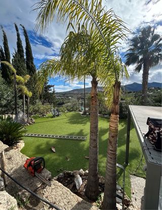 Mantenimientos GENERAL