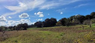 Solar en venta en Manacor Centro en Manacor