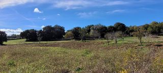 Solar en venta en Manacor Centro en Manacor