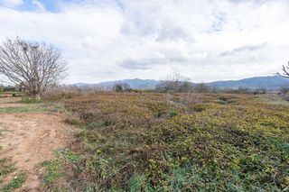 Terreno en venta en Ulldecona